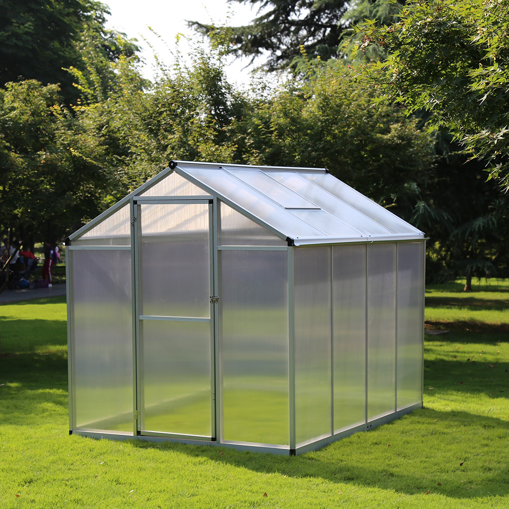 190-4 242x190x195cm Transparent Plant Single Hinged Door Green House