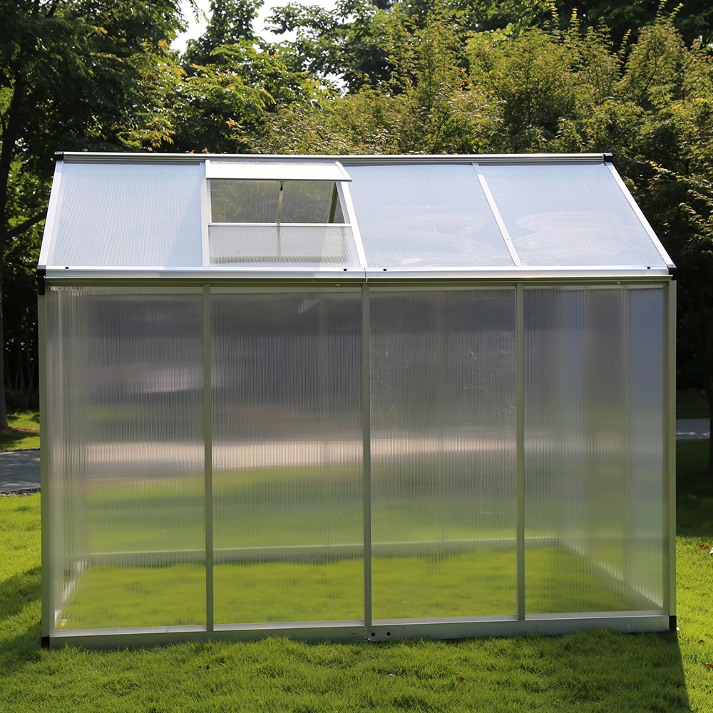 190-4 242x190x195cm Transparent Plant Single Hinged Door Green House