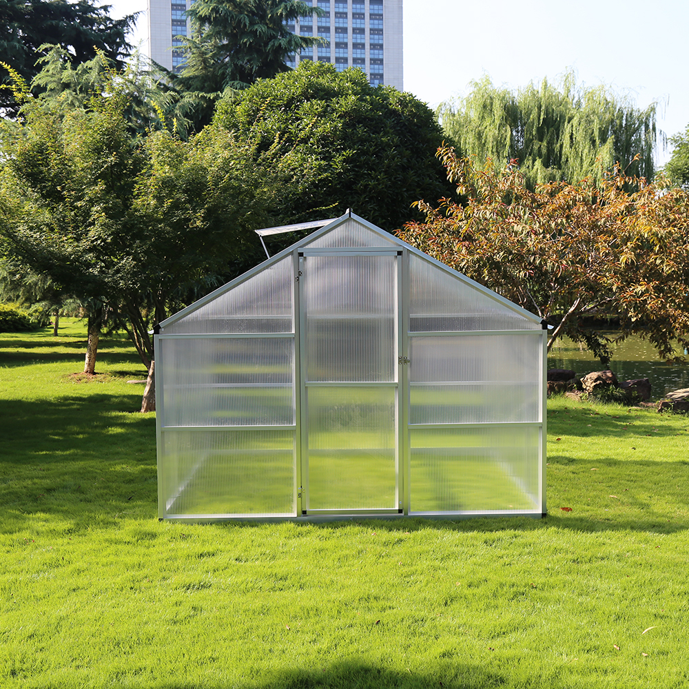 250-4 242x250x195cm Single Hinged Door Green House