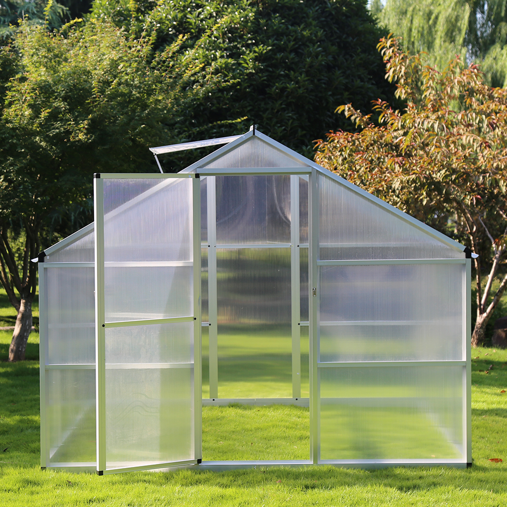 250-4 242x250x195cm Single Hinged Door Green House