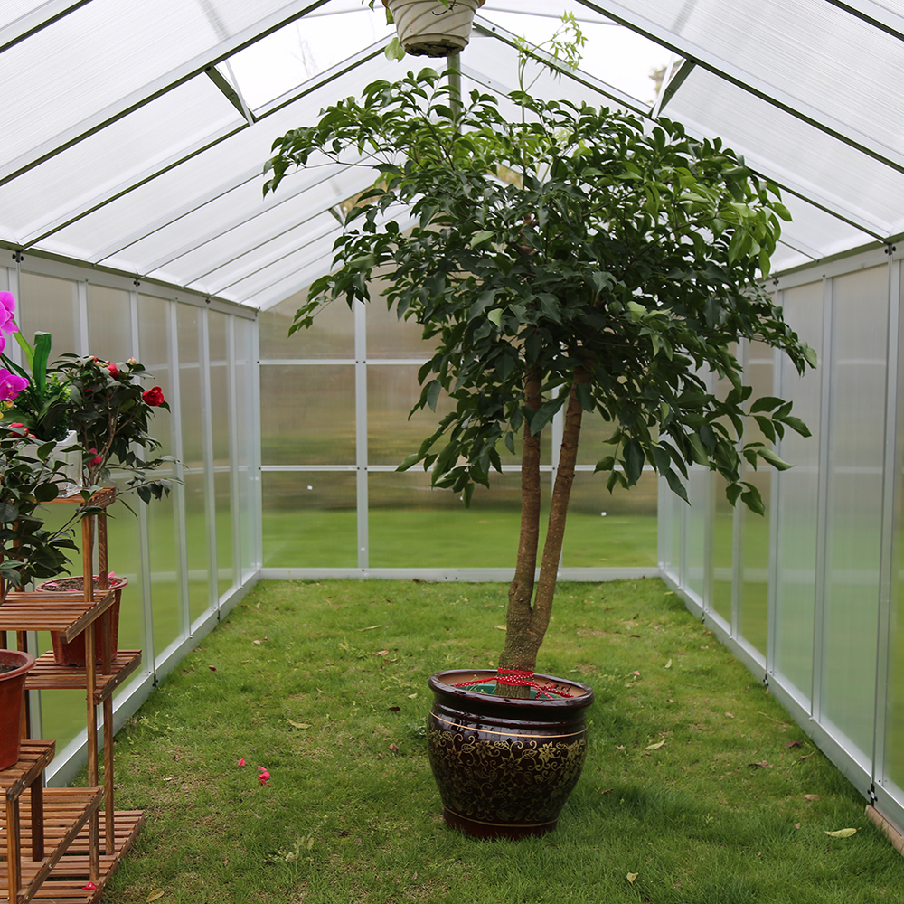 DB250-10 542x250x226cm Polycarbonate Walk-in Double Hinged Door Greenhouse